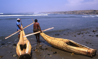 Caballitos de totora